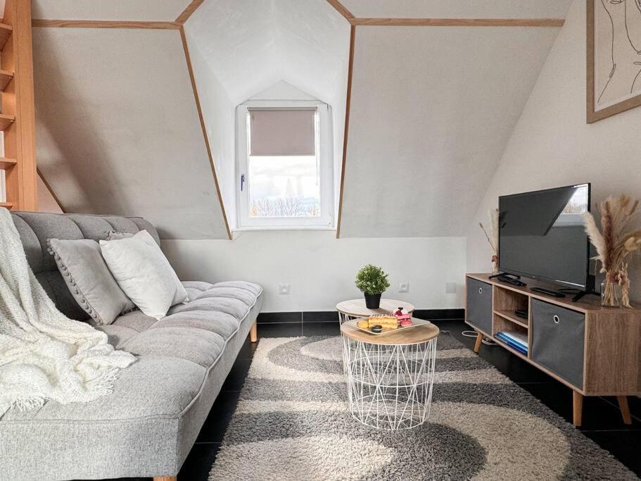 Le Coin De Paradis, Proche Centre Ville Mulhouse Kültér fotó