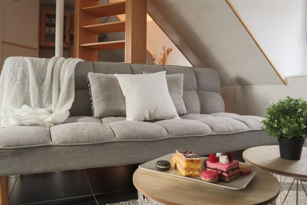 Le Coin De Paradis, Proche Centre Ville Mulhouse Kültér fotó